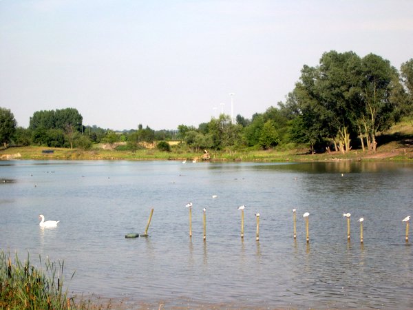 Willen Lake